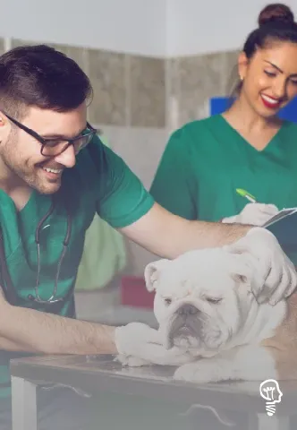 curso de AUXILIAR VETERINÁRIO